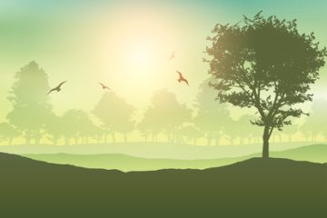 Landscape background with trees and birds